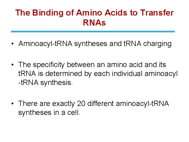The Binding of Amino Acids to Transfer RNAs • Aminoacyl-t. RNA syntheses and t.