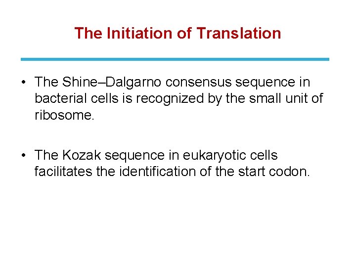 The Initiation of Translation • The Shine–Dalgarno consensus sequence in bacterial cells is recognized