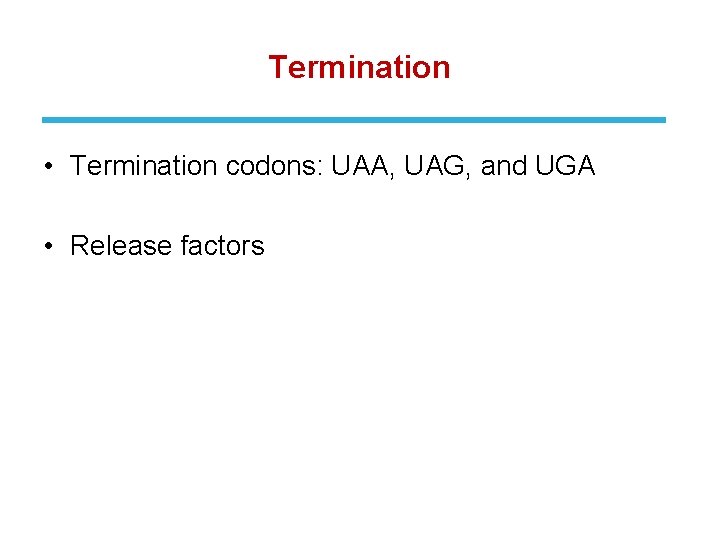 Termination • Termination codons: UAA, UAG, and UGA • Release factors 
