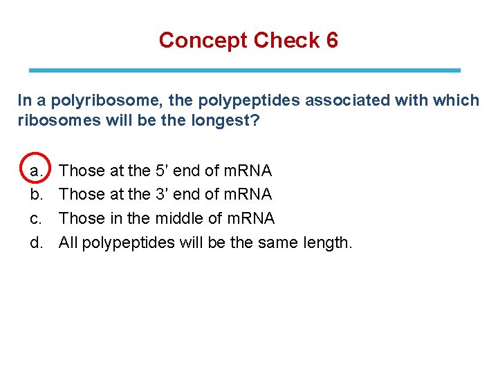 Concept Check 6 In a polyribosome, the polypeptides associated with which ribosomes will be