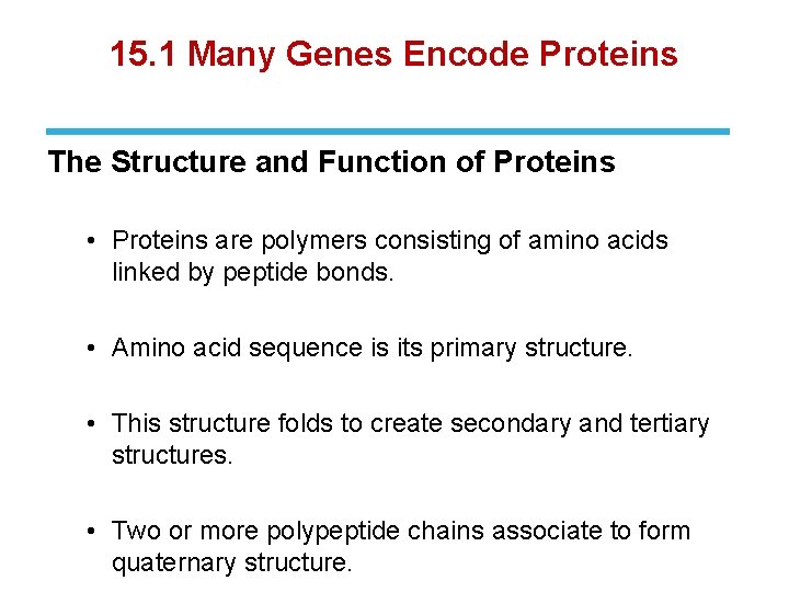 15. 1 Many Genes Encode Proteins The Structure and Function of Proteins • Proteins