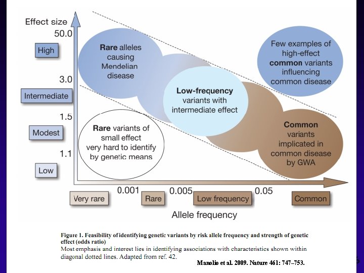 Possible Causes of Missing Heritability Manolio et al. 2009. Nature 461: 747– 753. 16