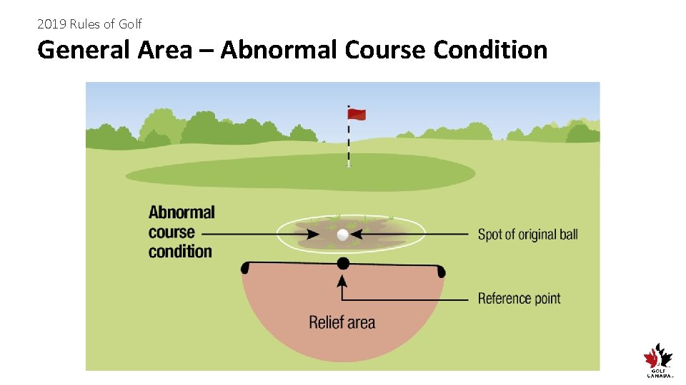 2019 Rules of Golf General Area – Abnormal Course Condition 