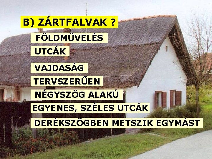 B) ZÁRTFALVAK ? FÖLDMŰVELÉS UTCÁK VAJDASÁG TERVSZERŰEN NÉGYSZÖG ALAKÚ EGYENES, SZÉLES UTCÁK DERÉKSZÖGBEN METSZIK