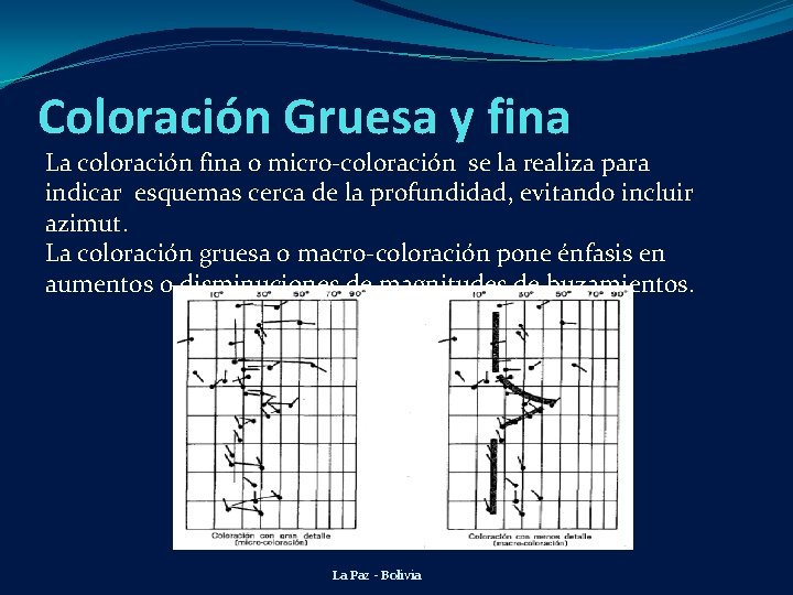 Coloración Gruesa y fina La coloración fina o micro-coloración se la realiza para indicar