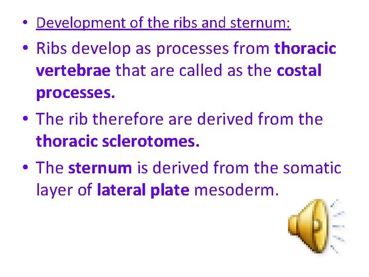  • Development of the ribs and sternum: • Ribs develop as processes from