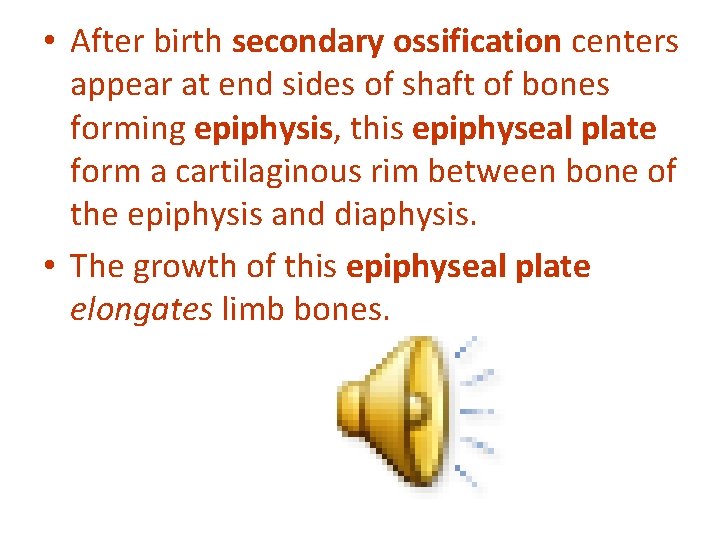  • After birth secondary ossification centers appear at end sides of shaft of