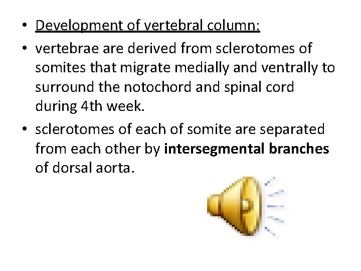  • Development of vertebral column: • vertebrae are derived from sclerotomes of somites