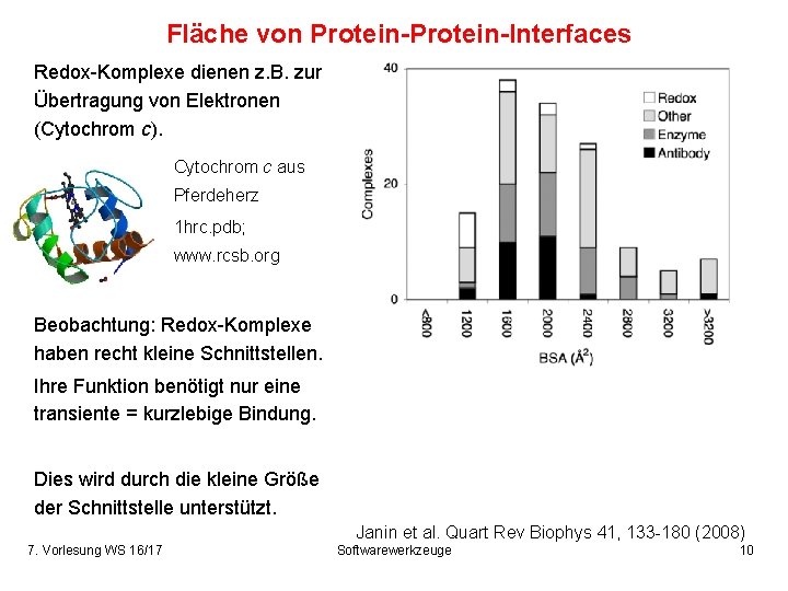 Fläche von Protein-Interfaces Redox-Komplexe dienen z. B. zur Übertragung von Elektronen (Cytochrom c). Cytochrom