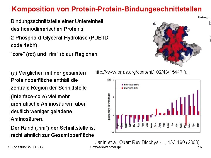 Komposition von Protein-Bindungsschnittstellen Bindungsschnittstelle einer Untereinheit des homodimerischen Proteins 2 -Phospho-d-Glycerat Hydrolase (PDB ID