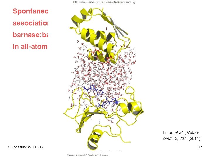 Spontaneous association of barnase: barstar in all-atom MD Ahmad et al. , Nature Comm.
