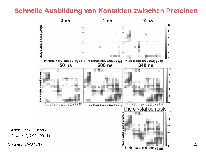 Schnelle Ausbildung von Kontakten zwischen Proteinen Ahmad et al. , Nature Comm. 2, 261