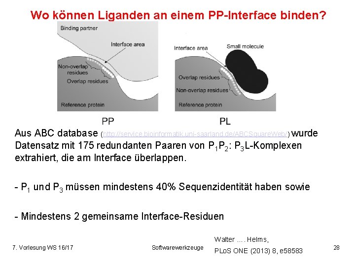 Wo können Liganden an einem PP-Interface binden? Aus ABC database (http: //service. bioinformatik. uni-saarland.
