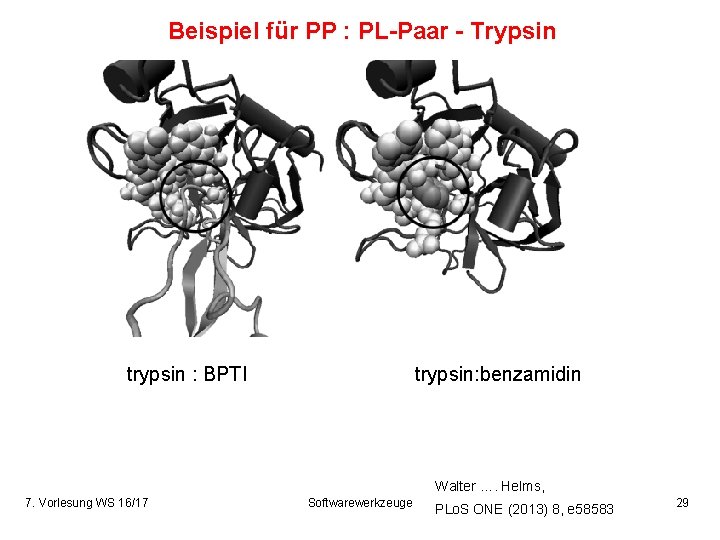 Beispiel für PP : PL-Paar - Trypsin trypsin : BPTI trypsin: benzamidin Walter ….