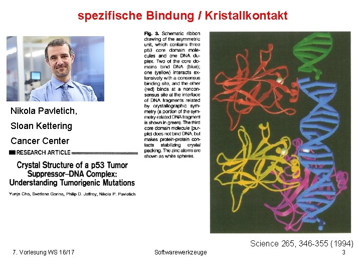 spezifische Bindung / Kristallkontakt Nikola Pavletich, Sloan Kettering Cancer Center Science 265, 346 -355