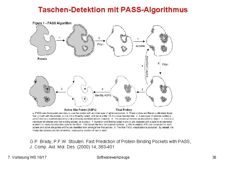 Taschen-Detektion mit PASS-Algorithmus G. P. Brady, P. F. W. Stouten: Fast Prediction of Protein