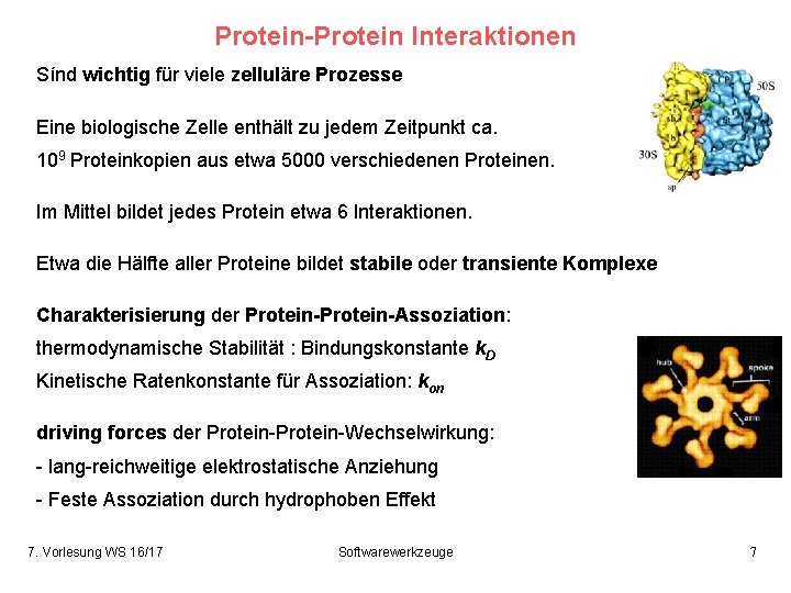 Protein-Protein Interaktionen Sínd wichtig für viele zelluläre Prozesse Eine biologische Zelle enthält zu jedem