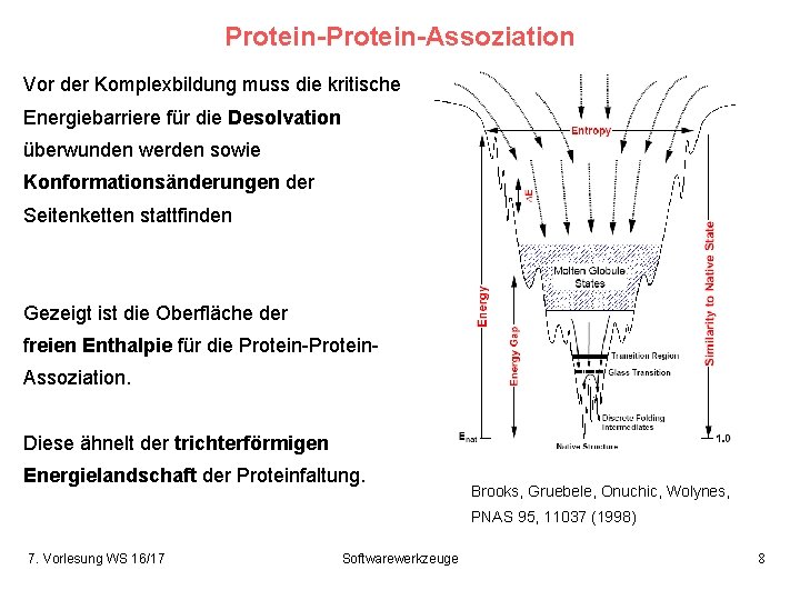 Protein-Assoziation Vor der Komplexbildung muss die kritische Energiebarriere für die Desolvation überwunden werden sowie