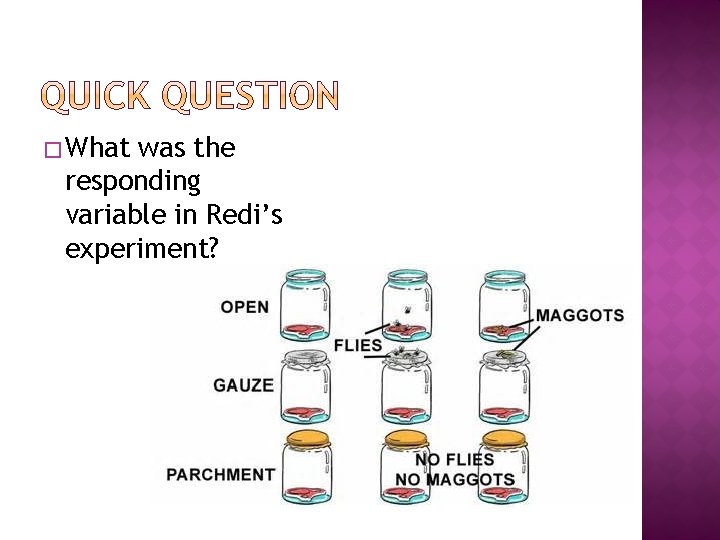 � What was the responding variable in Redi’s experiment? 