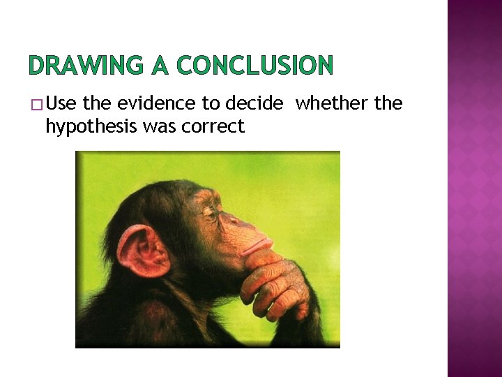 DRAWING A CONCLUSION � Use the evidence to decide whether the hypothesis was correct