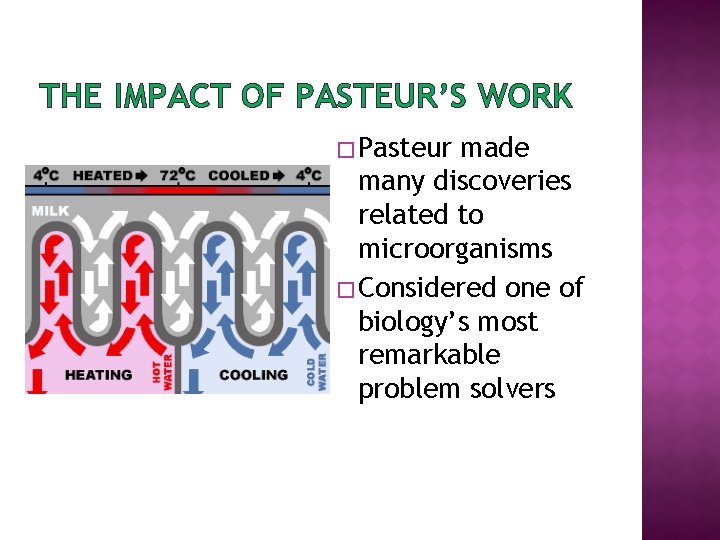 THE IMPACT OF PASTEUR’S WORK � Pasteur made many discoveries related to microorganisms �