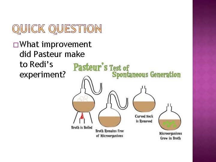 � What improvement did Pasteur make to Redi’s experiment? 