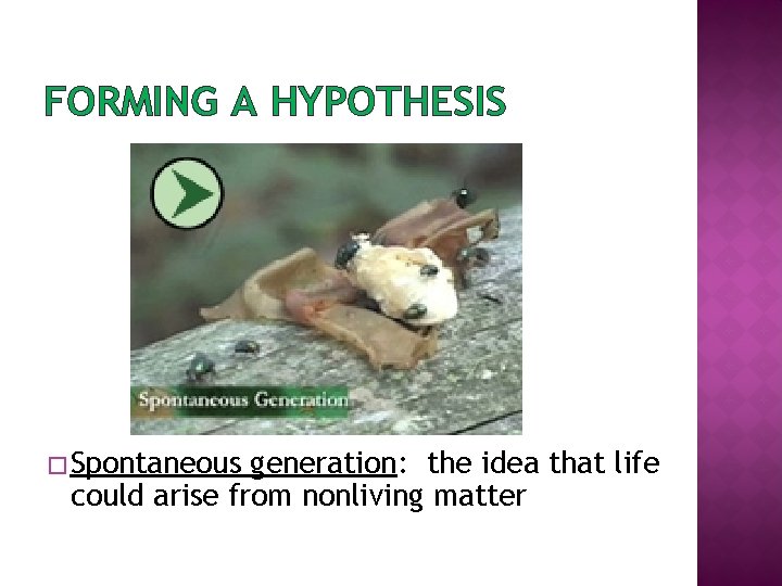 FORMING A HYPOTHESIS � Spontaneous generation: the idea that life could arise from nonliving