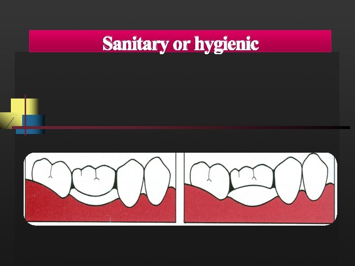 Sanitary or hygienic 