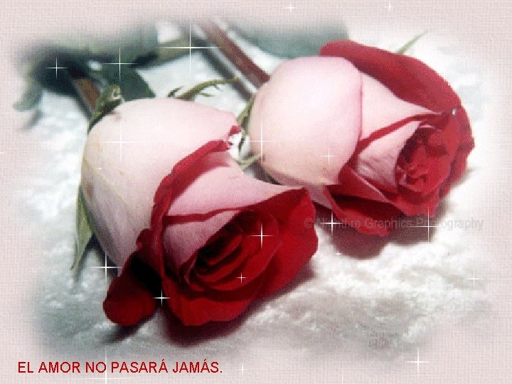 EL AMOR NO PASARÁ JAMÁS. 