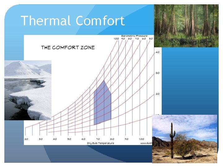 Thermal Comfort 