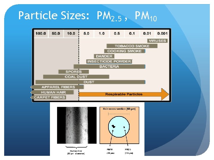 Particle Sizes: PM 2. 5 , PM 10 