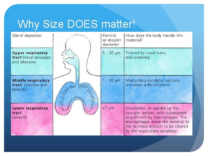 Why Size DOES matter! 