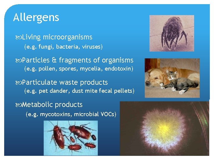 Allergens Living microorganisms (e. g. fungi, bacteria, viruses) Particles & fragments of organisms (e.