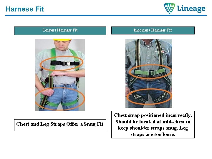 Harness Fit Correct Harness Fit Chest and Leg Straps Offer a Snug Fit Incorrect