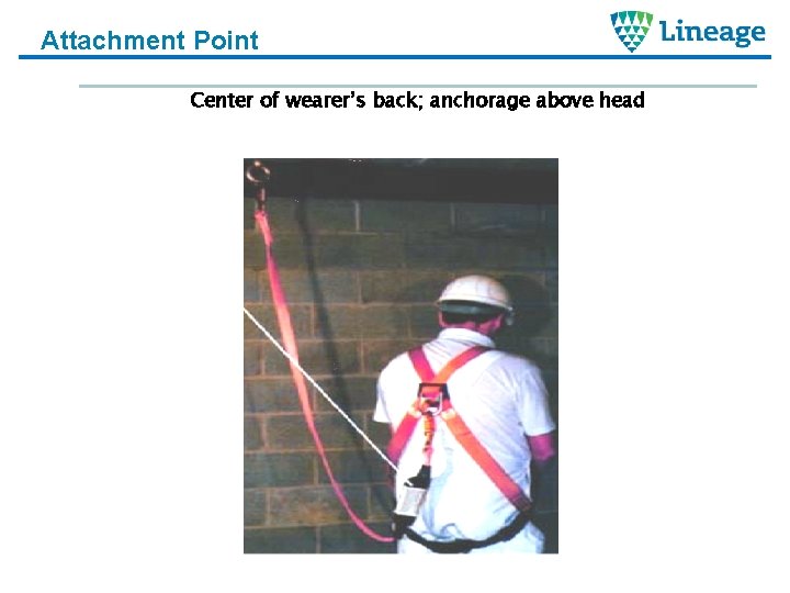 Attachment Point Center of wearer’s back; anchorage above head 