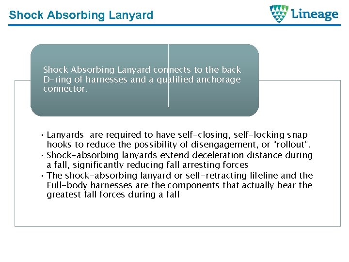 Shock Absorbing Lanyard connects to the back D-ring of harnesses and a qualified anchorage