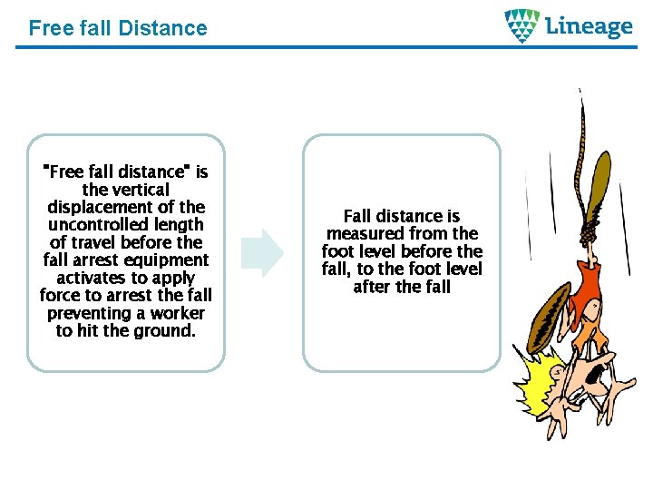 Free fall Distance "Free fall distance" is the vertical displacement of the uncontrolled length