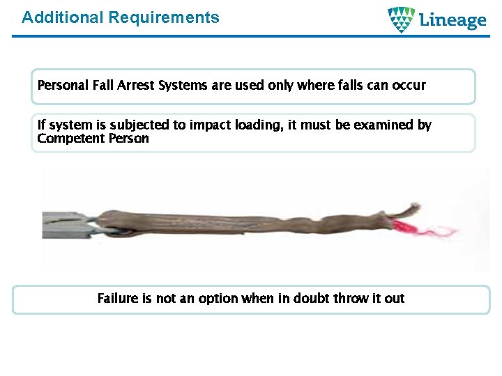 Additional Requirements Personal Fall Arrest Systems are used only where falls can occur If