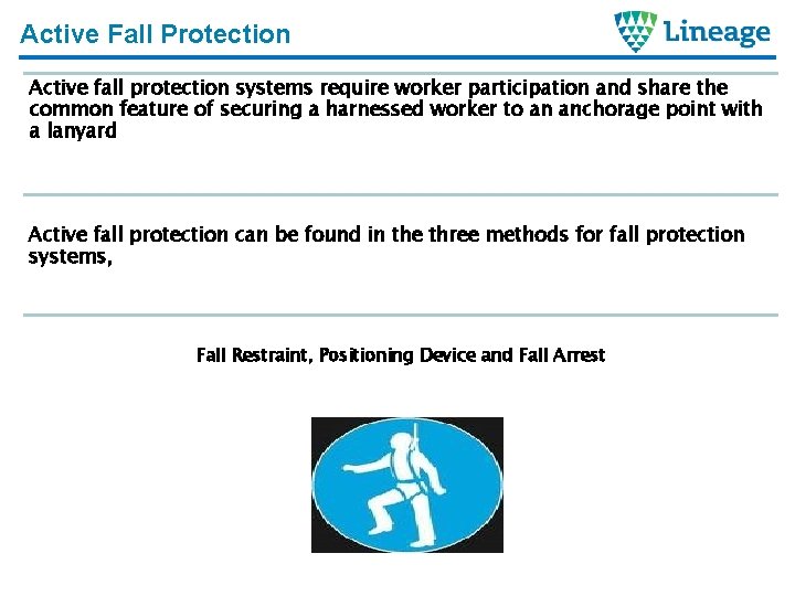 Active Fall Protection Active fall protection systems require worker participation and share the common