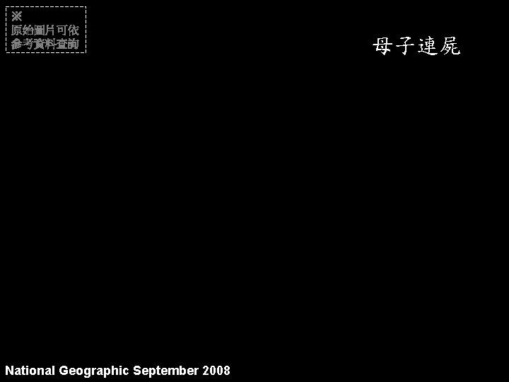 ※ 原始圖片可依 參考資料查詢 National Geographic September 2008 母子連屍 