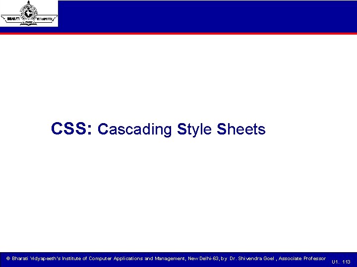 CSS: Cascading Style Sheets © Bharati Vidyapeeth’s Institute of Computer Applications and Management, New