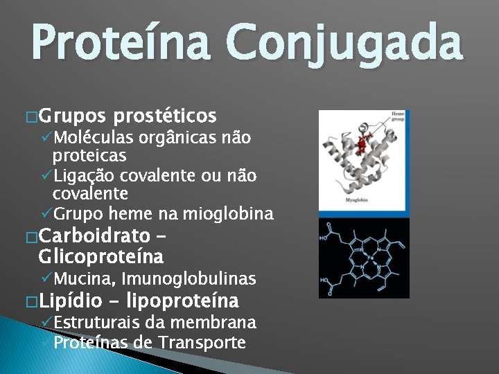 Proteína Conjugada � Grupos prostéticos üMoléculas orgânicas não proteicas üLigação covalente ou não covalente