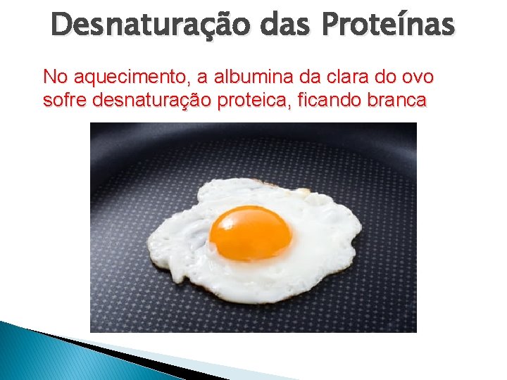 Desnaturação das Proteínas No aquecimento, a albumina da clara do ovo sofre desnaturação proteica,