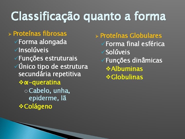 Classificação quanto a forma Ø Proteínas fibrosas üForma alongada üInsolúveis üFunções estruturais üÚnico tipo