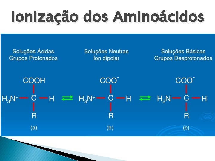 Ionização dos Aminoácidos 