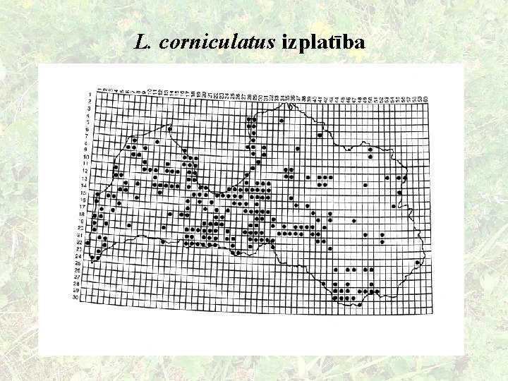 L. corniculatus izplatība 