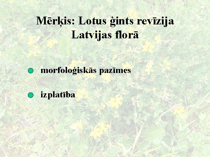 Mērķis: Lotus ģints revīzija Latvijas florā morfoloģiskās pazīmes izplatība 