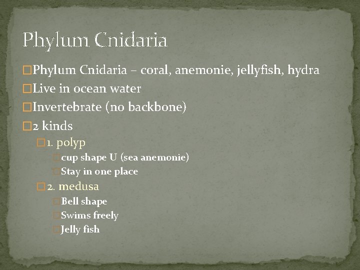 Phylum Cnidaria �Phylum Cnidaria – coral, anemonie, jellyfish, hydra �Live in ocean water �Invertebrate