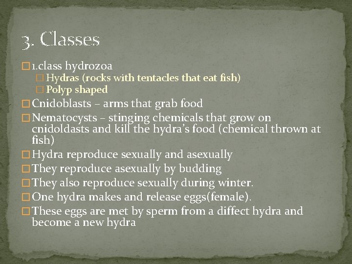 3. Classes � 1. class hydrozoa � Hydras (rocks with tentacles that eat fish)