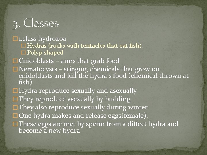 3. Classes � 1. class hydrozoa � Hydras (rocks with tentacles that eat fish)